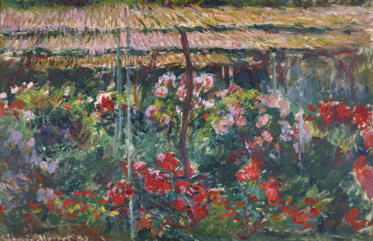 牡丹园，1887年 作者 克劳德·莫奈