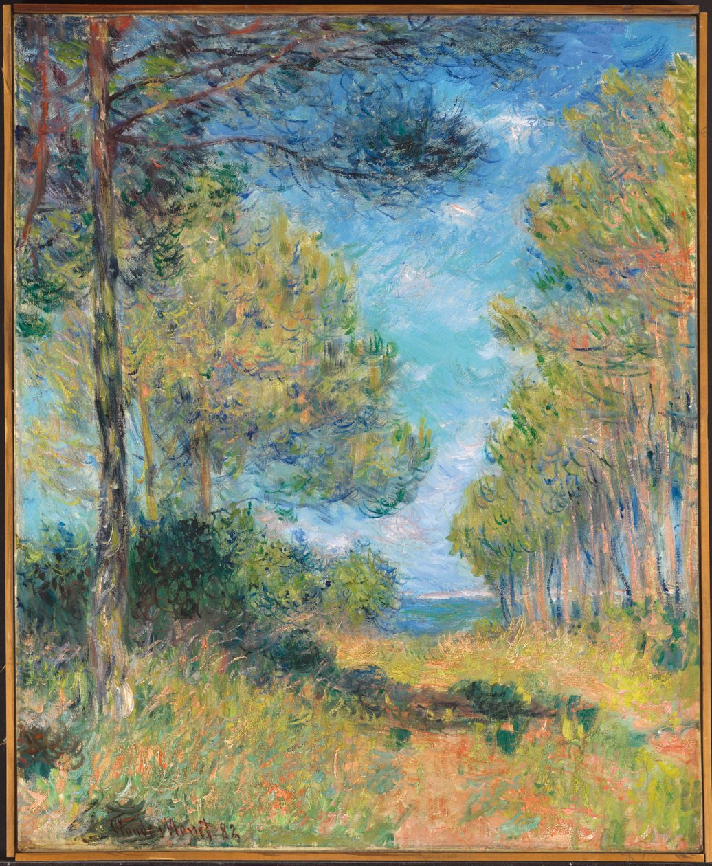 Varengeville的松树小径；阿里·德·萨潘斯·瓦伦格维尔（Allee de Sapins Varengeville），1882年 作者 克劳德·莫奈