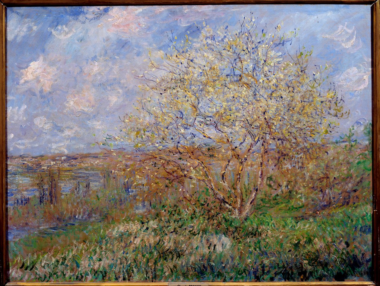 Claude Monet (1840-1926) 1882 Dim. 0.60 x 0.79 m 里昂的春天绘画，Musee des Beaux Arts 作者 克劳德·莫奈