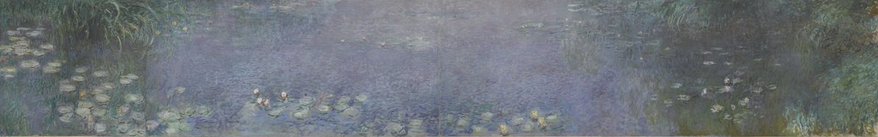 睡莲-树思考，1914-1926年 作者 克劳德·莫奈