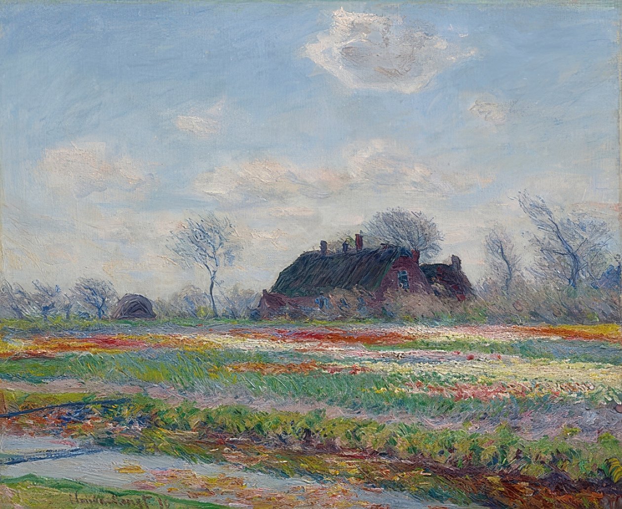 在萨森海姆的Tulipfelder。 1886年 作者 克劳德·莫奈