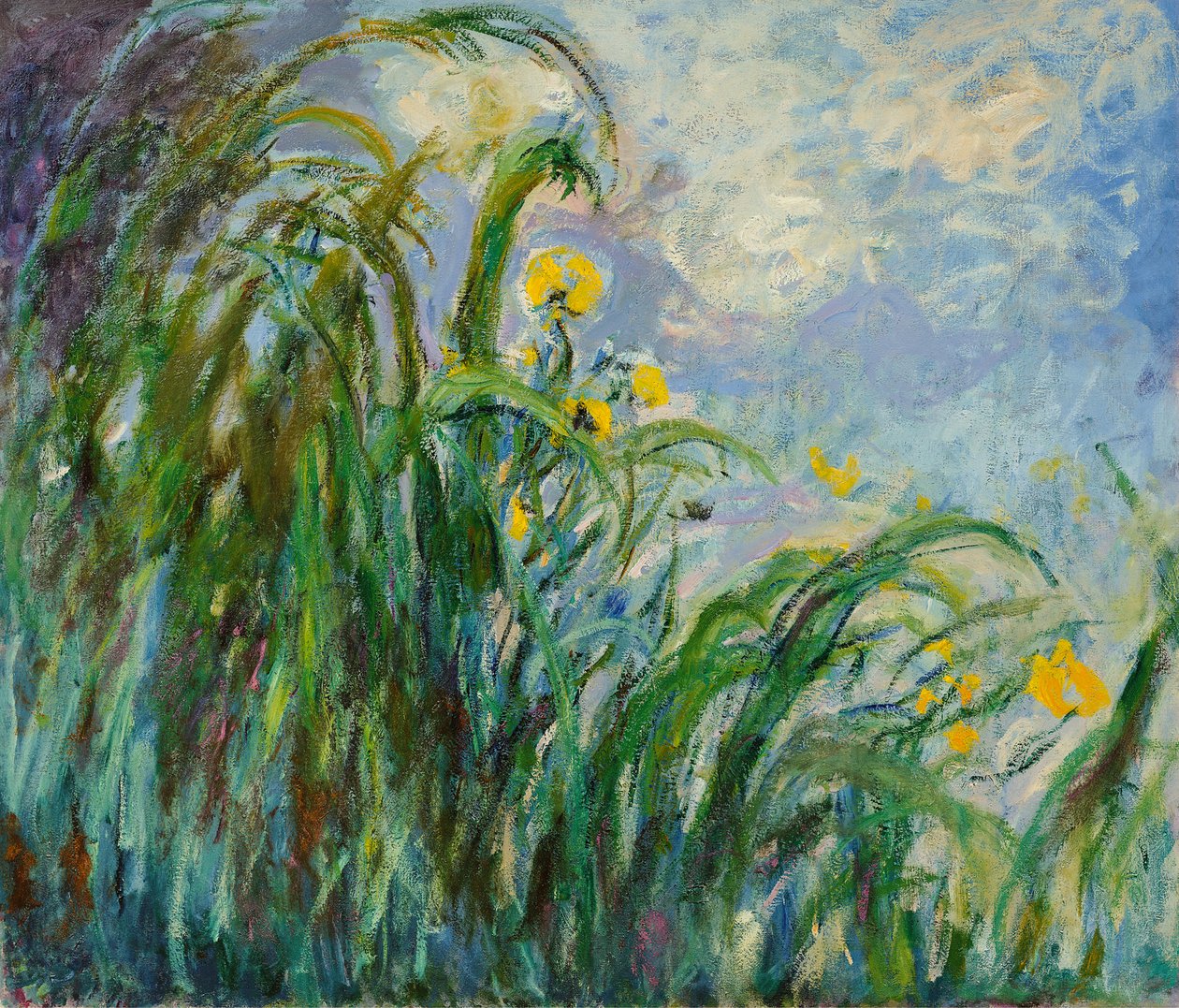 黄色鸢尾花c。 1925年。 作者 克劳德·莫奈