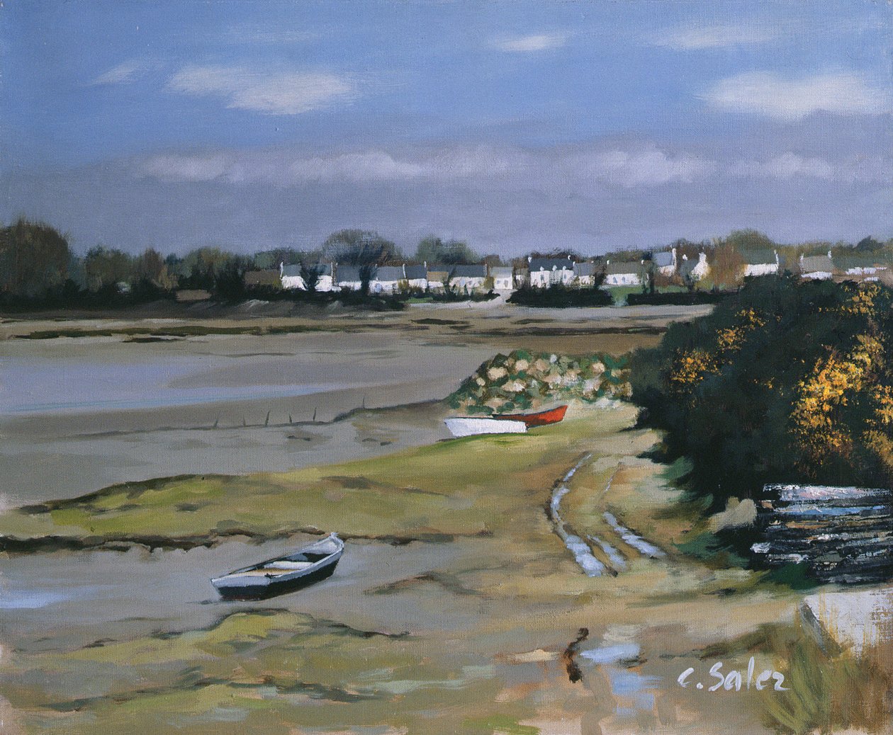 Bamastere，Morbihan 作者 克劳德·萨利兹（Claude Salez）