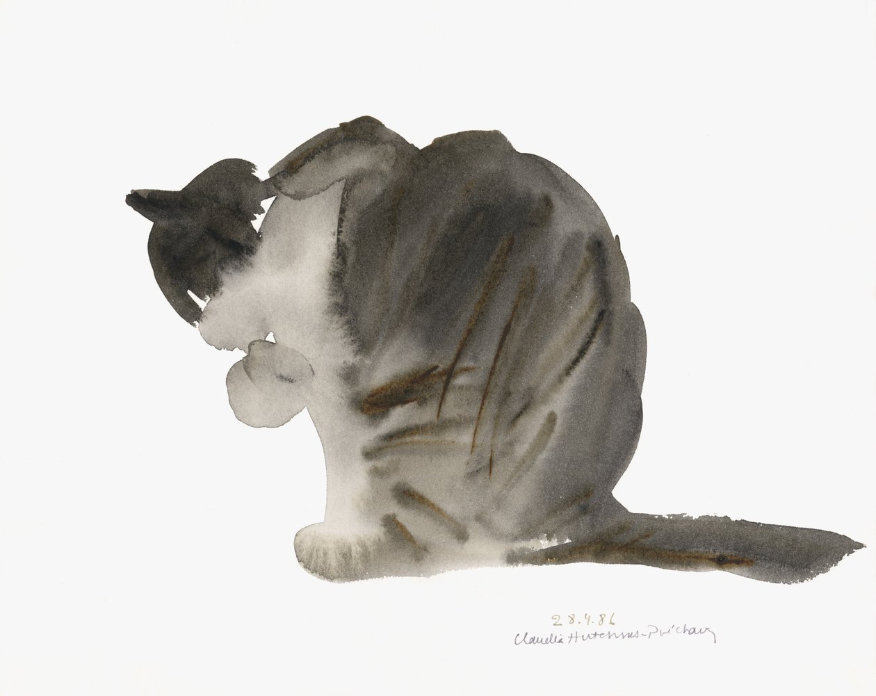 猫，1985（水彩画） 作者 克劳迪娅·哈钦斯（Claudia Hutchins）