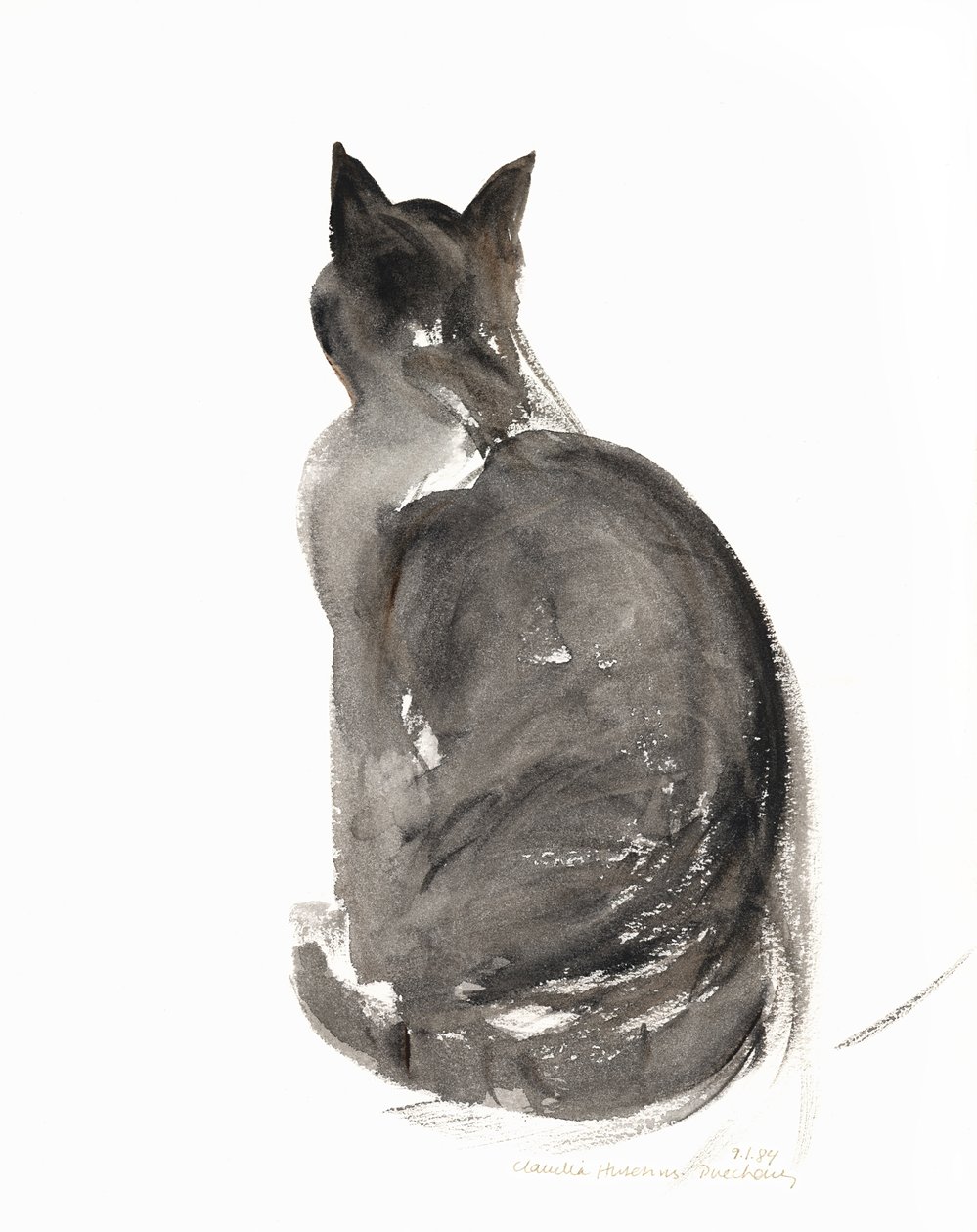 猫，1985（水彩画） 作者 克劳迪娅·哈钦斯（Claudia Hutchins）