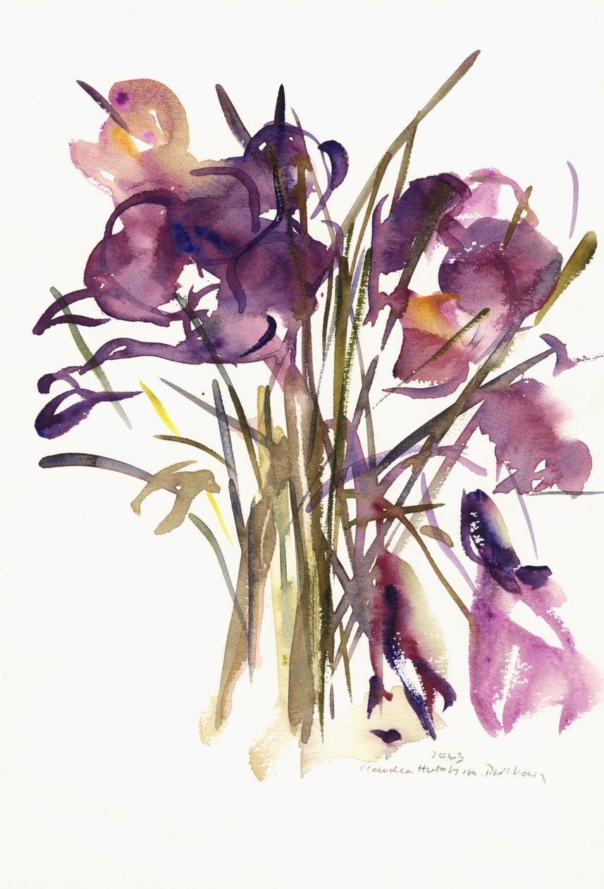 Crocus，2003（水彩画） 作者 克劳迪娅·哈钦斯（Claudia Hutchins）