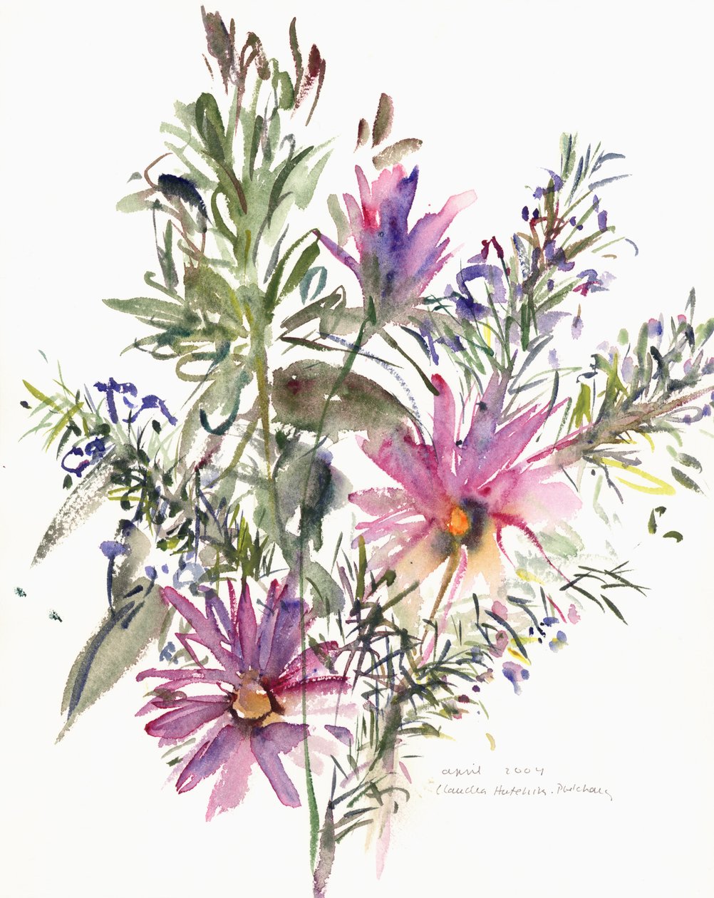 花卉，南非雏菊和薰衣草，2004（水彩） 作者 克劳迪娅·哈钦斯（Claudia Hutchins）