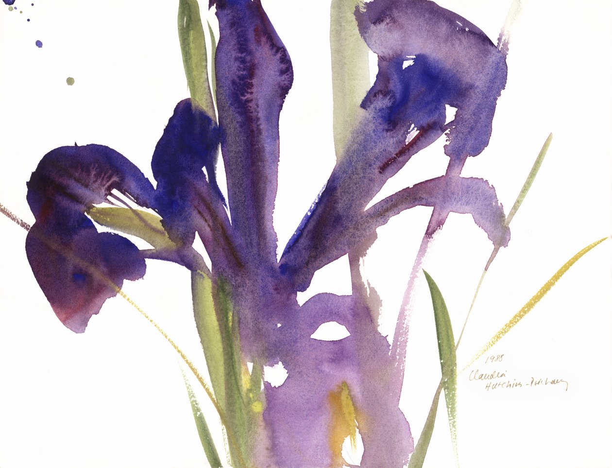 Iris，1987 作者 克劳迪娅·哈钦斯（Claudia Hutchins）