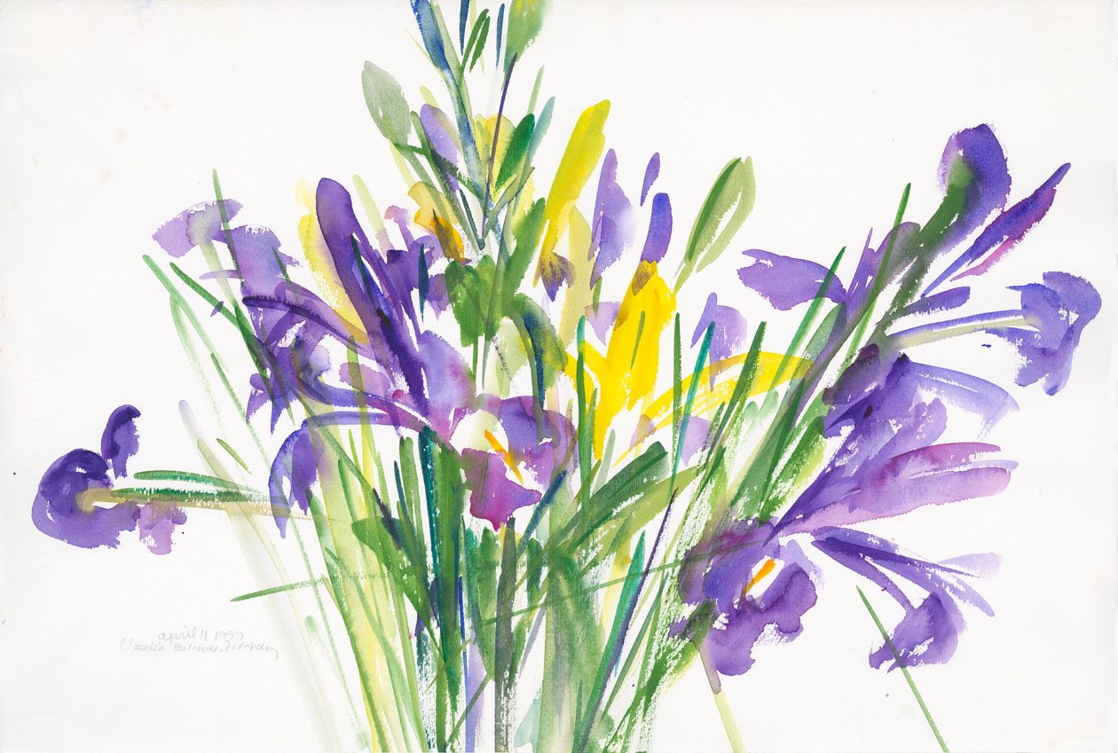 Irises，1999，（纸上水彩） 作者 克劳迪娅·哈钦斯（Claudia Hutchins）