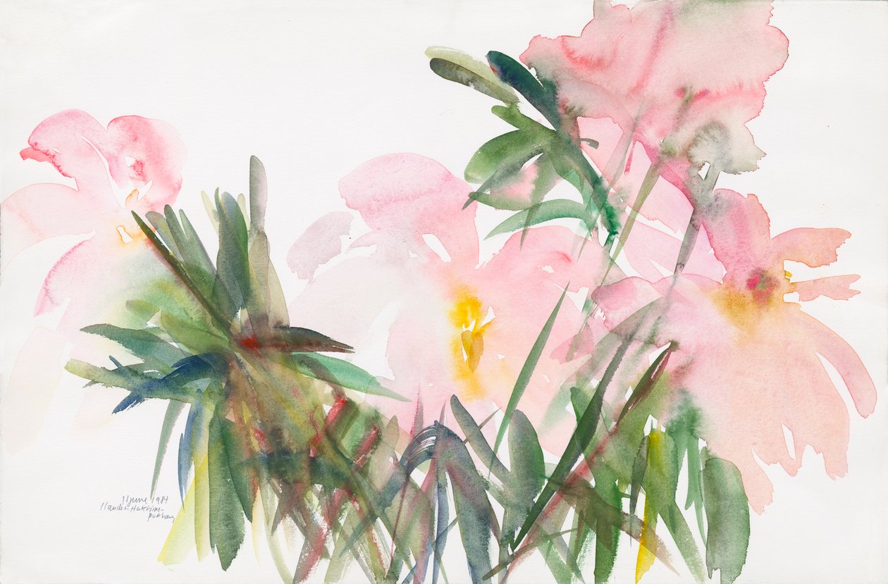 Peonies，1987，（纸上水彩） 作者 克劳迪娅·哈钦斯（Claudia Hutchins）