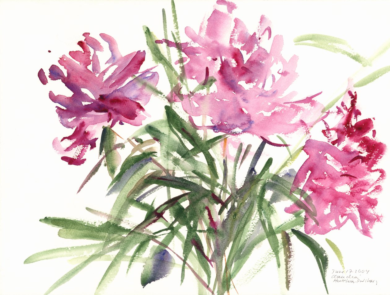 Peonies，2004（水彩画） 作者 克劳迪娅·哈钦斯（Claudia Hutchins）