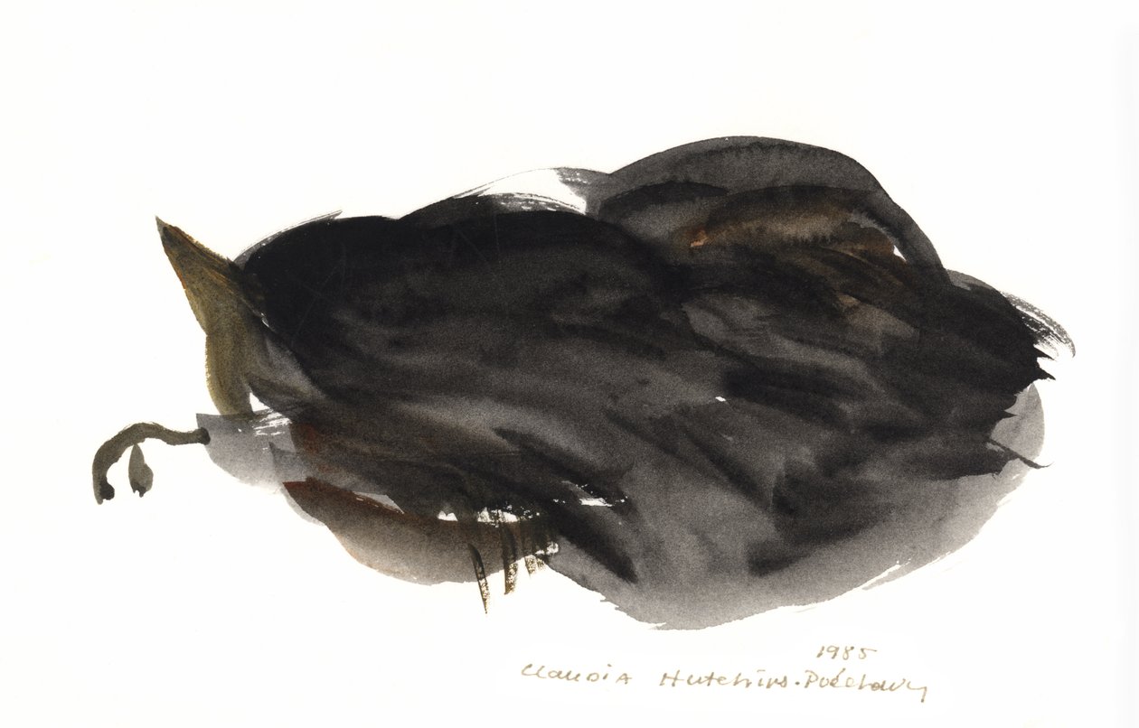 睡猫，1985年（水彩画） 作者 克劳迪娅·哈钦斯（Claudia Hutchins）