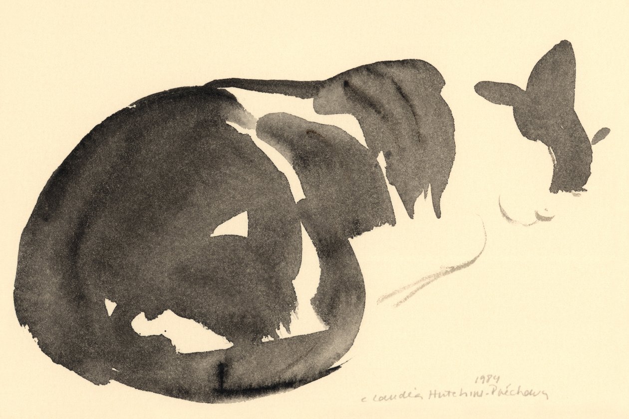 睡猫，1984年（水彩画） 作者 克劳迪娅·哈钦斯（Claudia Hutchins）