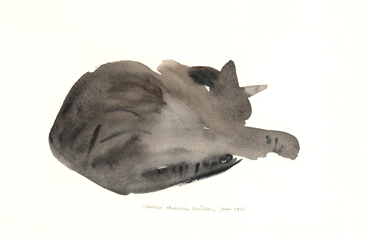 睡猫，1985年（水彩画） 作者 克劳迪娅·哈钦斯（Claudia Hutchins）