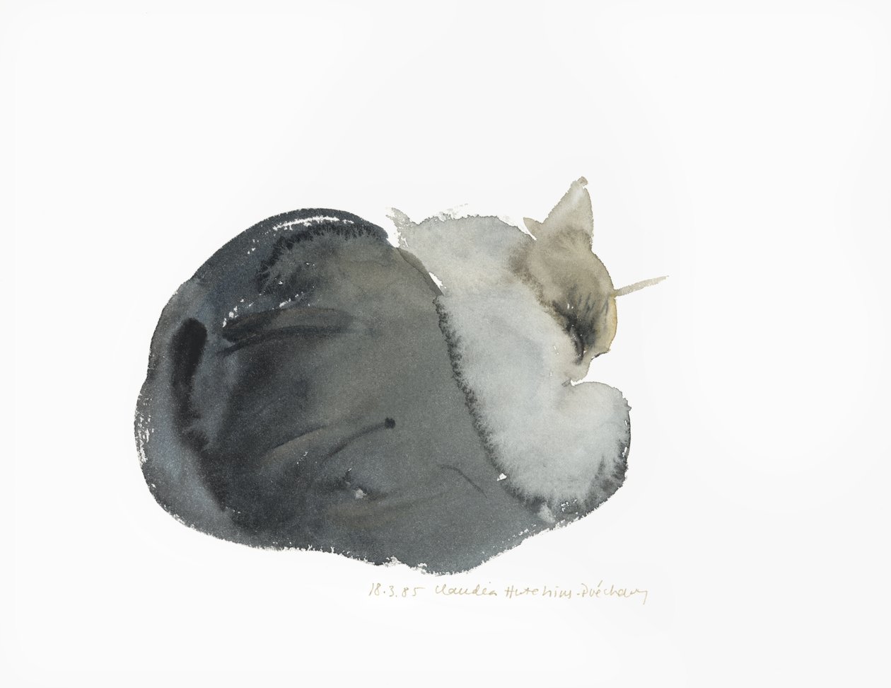 睡猫，1985年（水彩画） 作者 克劳迪娅·哈钦斯（Claudia Hutchins）