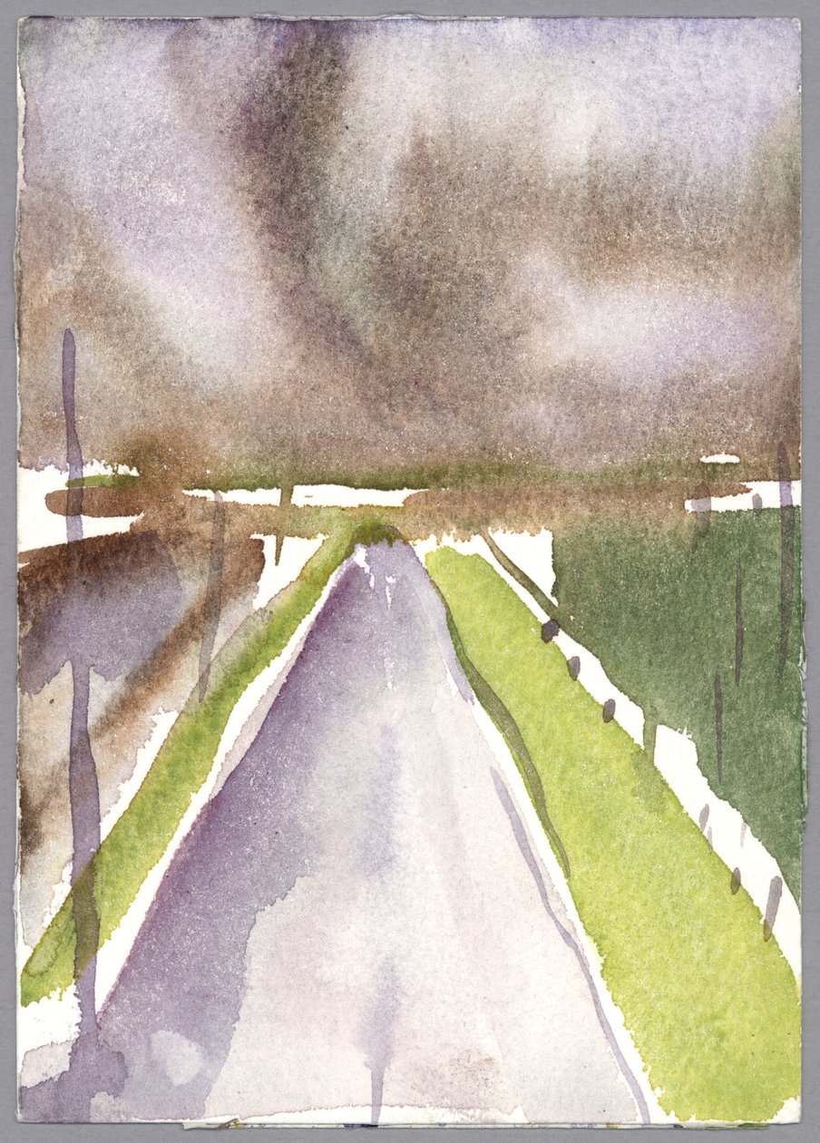风暴路线，1995年（水彩画） 作者 克劳迪娅·哈钦斯（Claudia Hutchins）