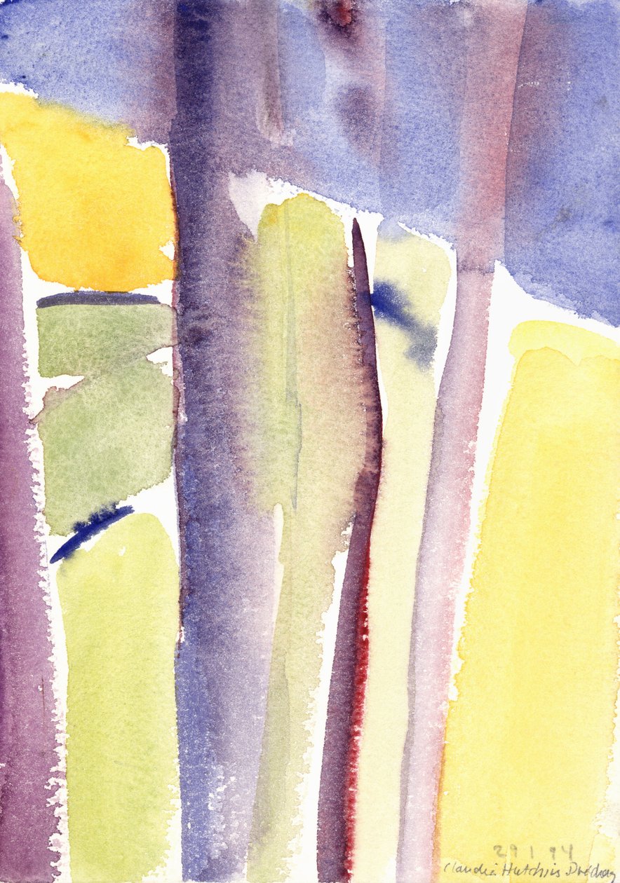 俯瞰湖泊的树木，1994年（水彩画） 作者 克劳迪娅·哈钦斯（Claudia Hutchins）