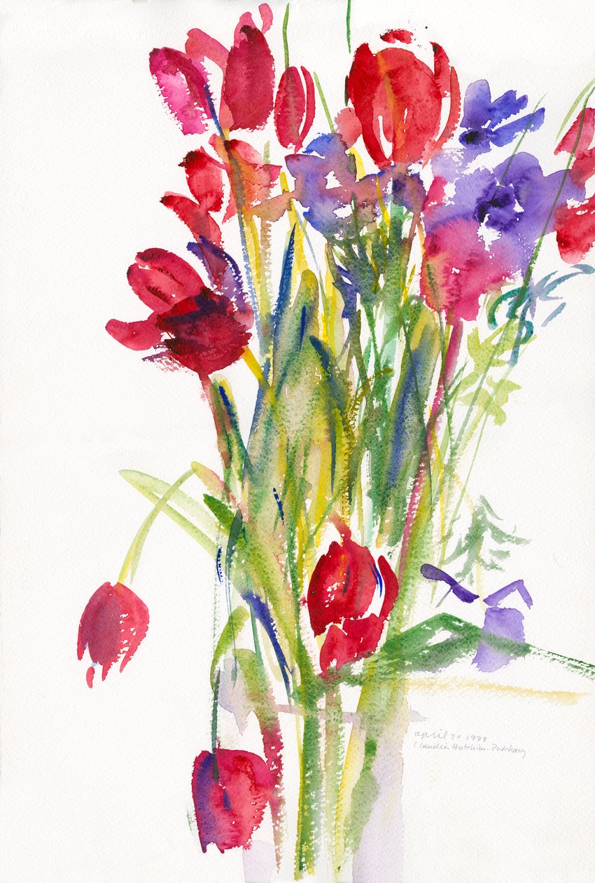 郁金香，1999年，（纸上水彩） 作者 克劳迪娅·哈钦斯（Claudia Hutchins）