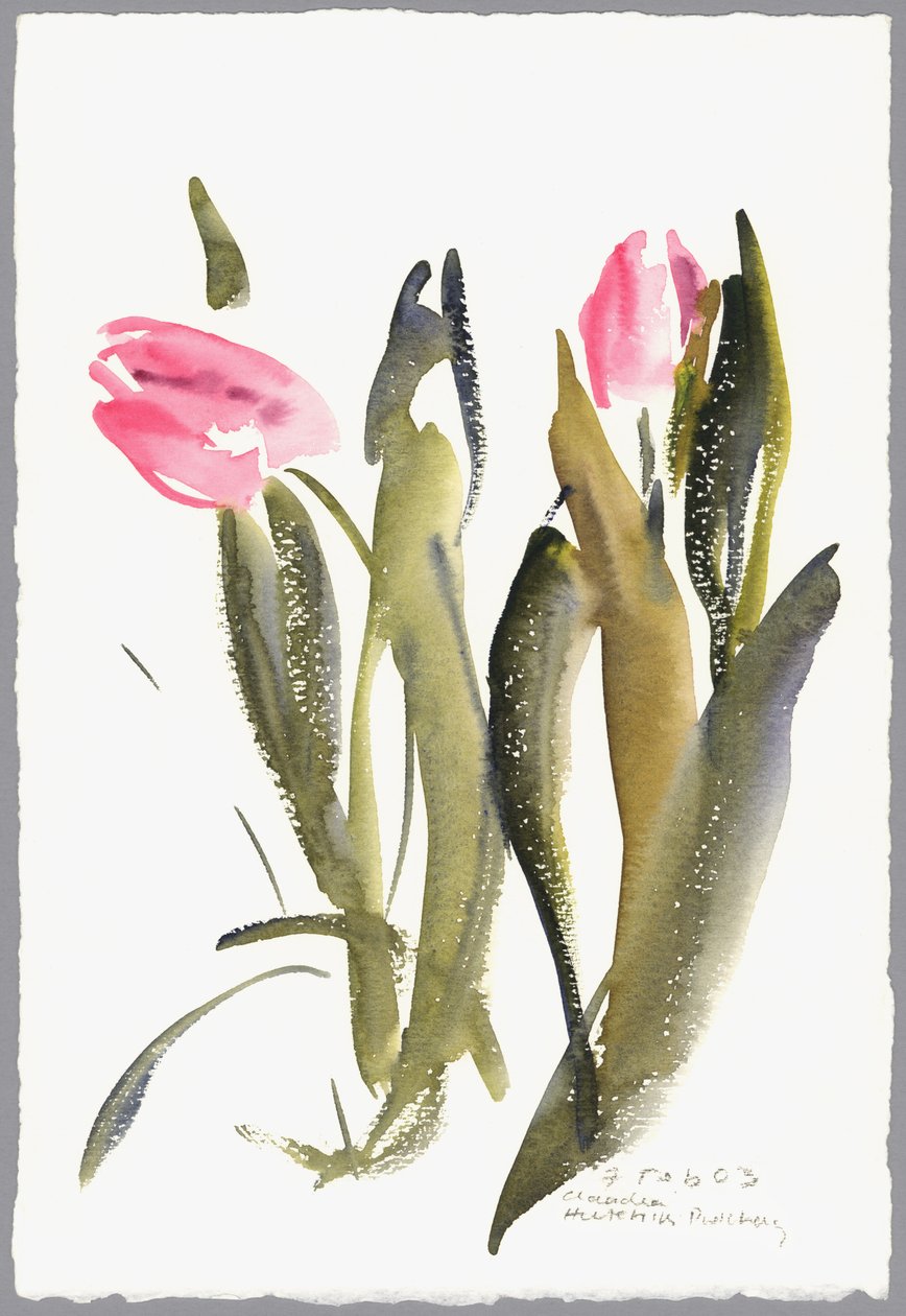 郁金香，2003（水彩画） 作者 克劳迪娅·哈钦斯（Claudia Hutchins）