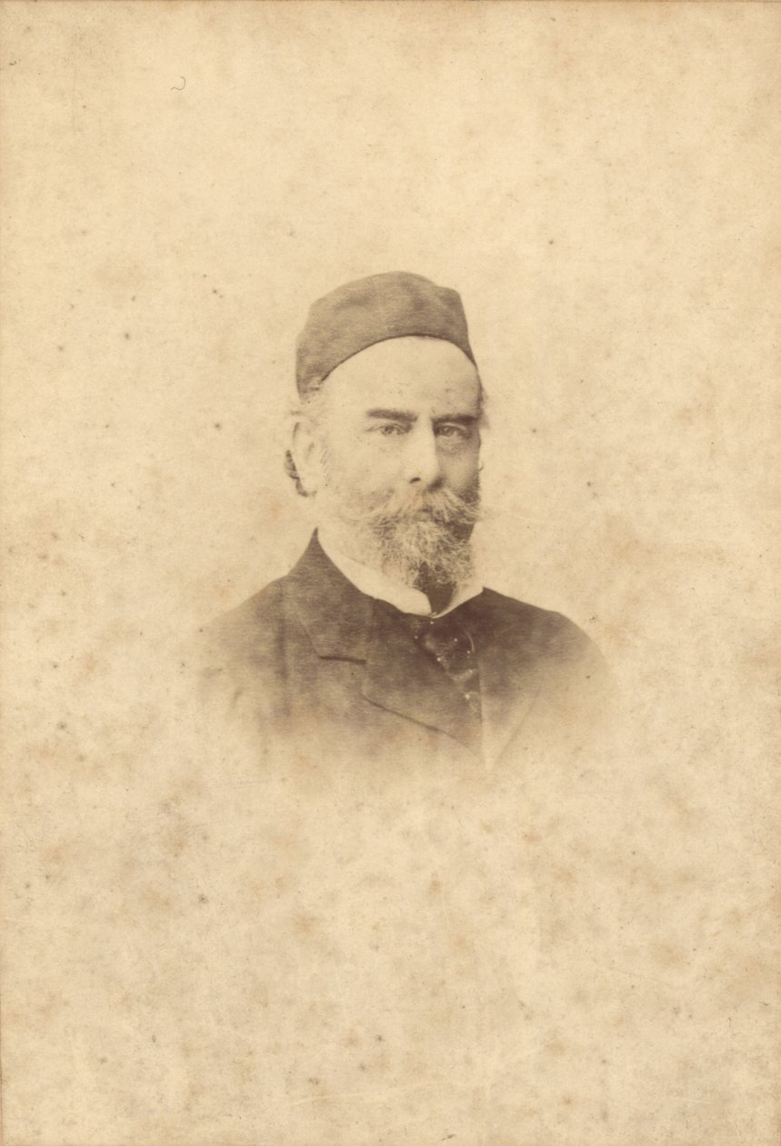 阿尔弗雷德希思黎（1839-99）的肖像照片（棕褐色照片） 作者 克莱门特·毛里埃（Clement Maurier）