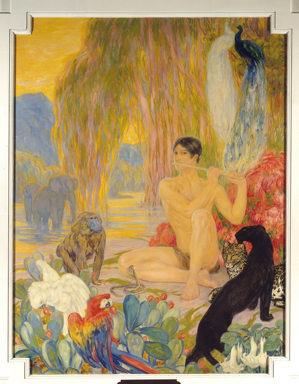 Clementine Helene (Clementine-Helene) Dufau (1869-1937) 20 世纪巴黎的动物学绘画。 索邦大学 作者 克莱门汀·海伦·杜福