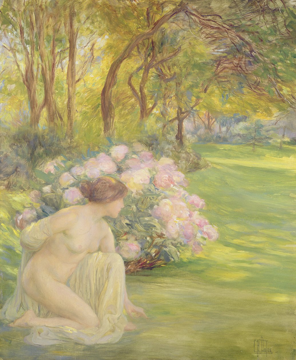 植物群 作者 克莱门汀·海伦·杜福