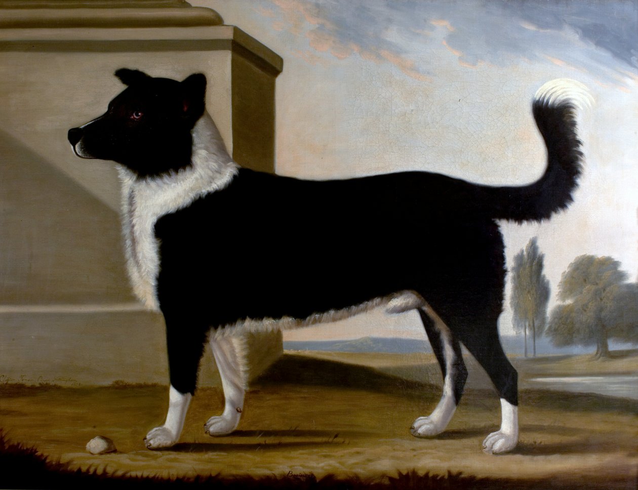 Lord Byrons Dog Boatswain（纽芬兰省），1808年 作者 克利夫顿汤姆森