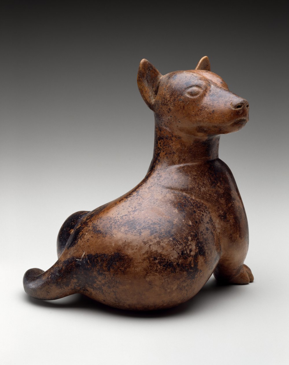半坐狗，墨西哥，原始经典，100 BC-AD 300（陶器） 作者 科利马文化