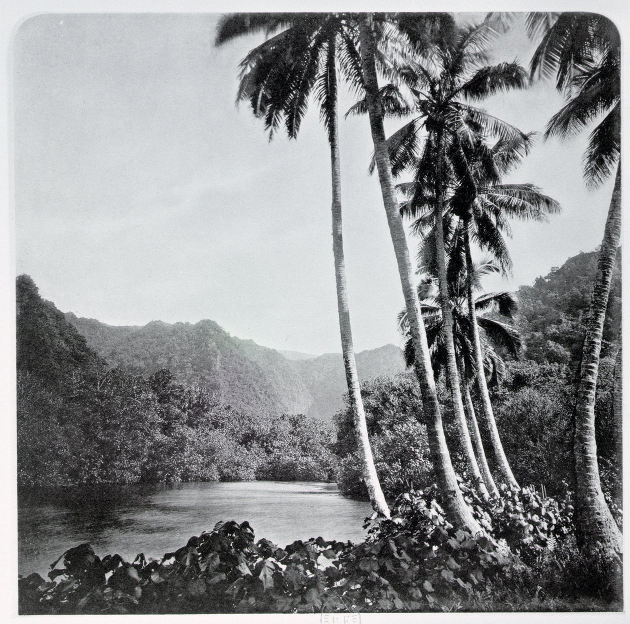 来自&39;Tahiti&39;的Hitiaa Lake于1882年在伦敦出版 作者 斯图尔特·沃特利上校