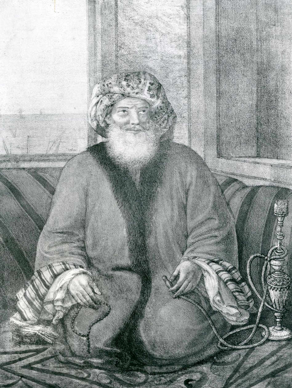 埃及的穆罕默德·阿里·帕夏（1769-1849），1818年 作者 福尔孔伯爵
