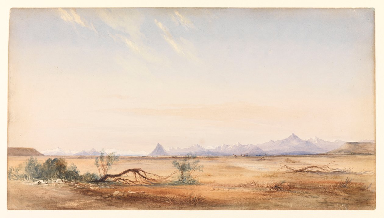 从圣克鲁斯附近的神秘平原看到的安第斯山脉，约 1878 年（水彩画） 作者 康拉德·马滕斯（Conrad Martens）