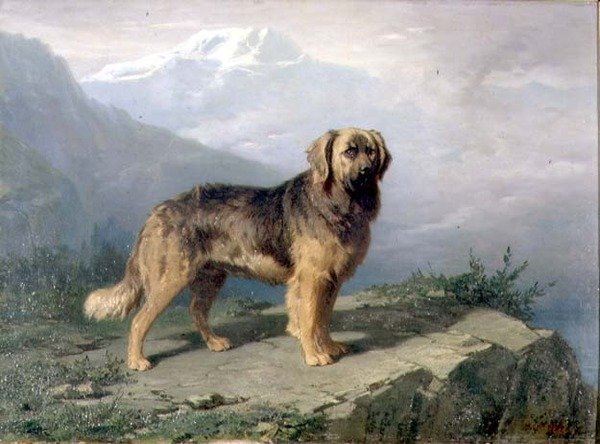 阿尔卑斯山风景中的獒犬 作者 康拉丁·库纳乌斯（Conradyn Cunaeus）