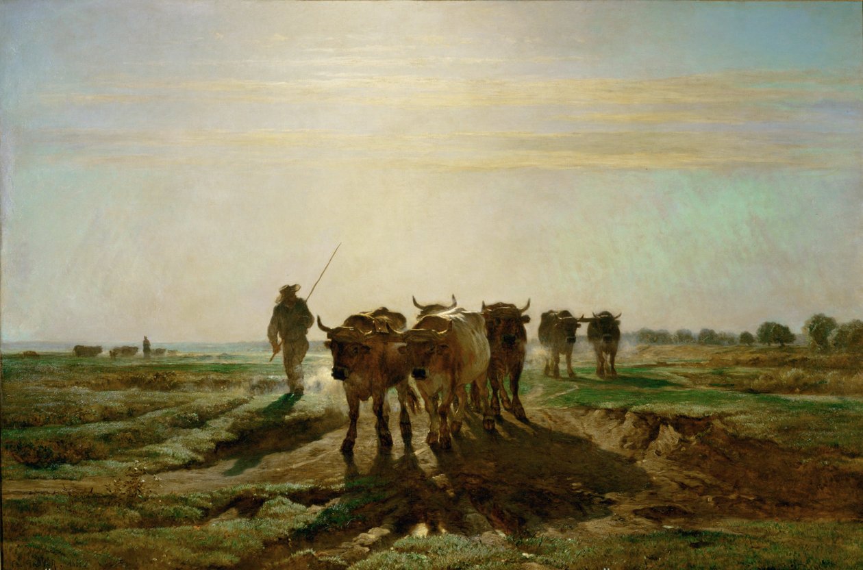 Boeufs se rendant au travail - 早上，牛群步行上班。1855 ... 作者 康斯坦特·埃米尔·特罗永