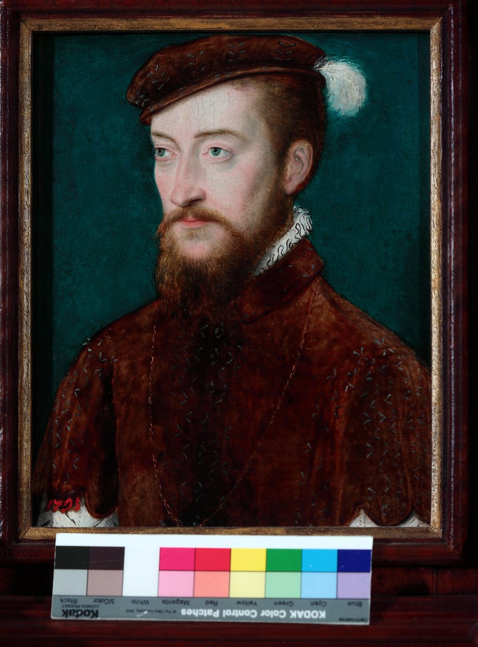 Antoine de Bourbon，1548年的肖像 作者 科尔内尔·德莱昂