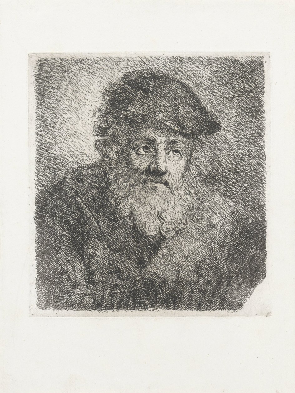 有胡子和帽子的老人 作者 科妮莉亚·谢弗·拉姆