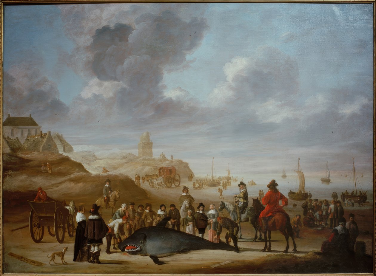 席凡宁根海滩上的鲸鱼 作者 Cornelis Beelt