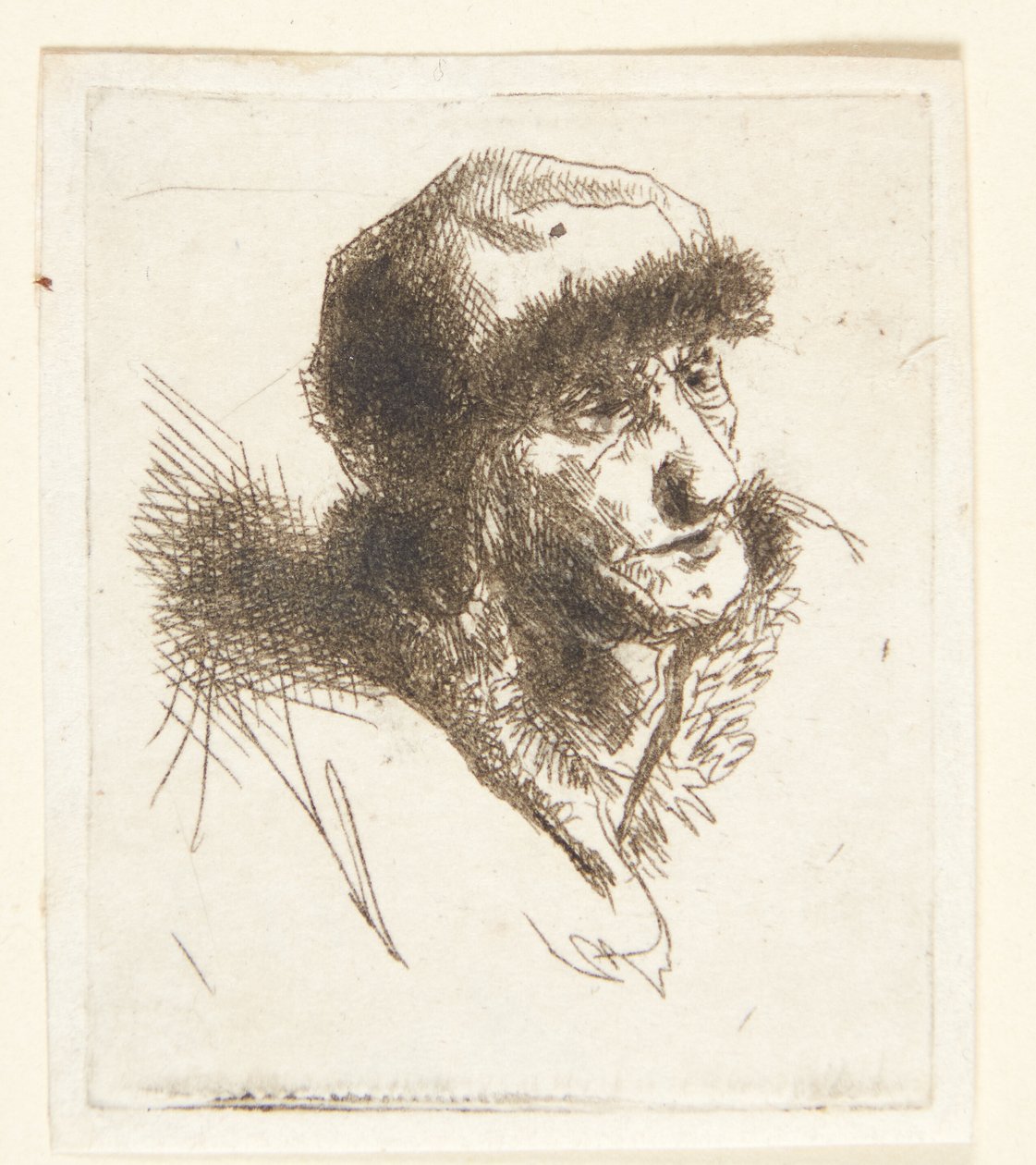有毛皮帽子的老妇人 作者 Cornelis Pietersz Bega