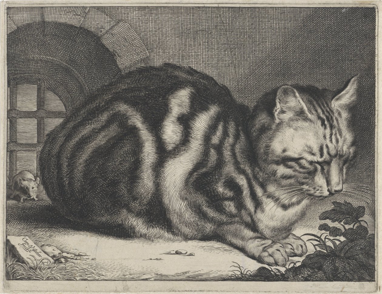 大猫 作者 科内利斯·维舍尔 (II)