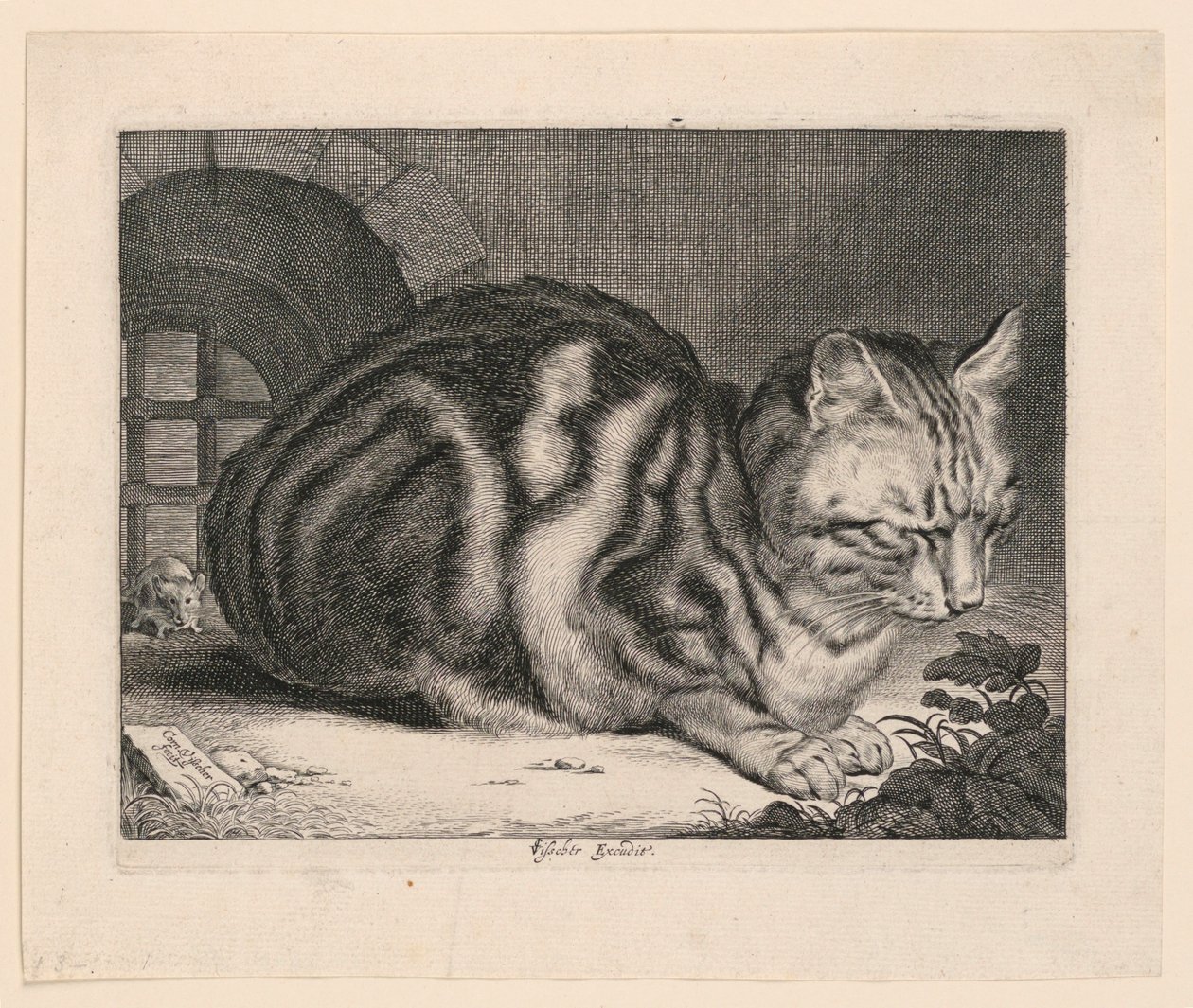 大猫 作者 科尼利斯·维舍