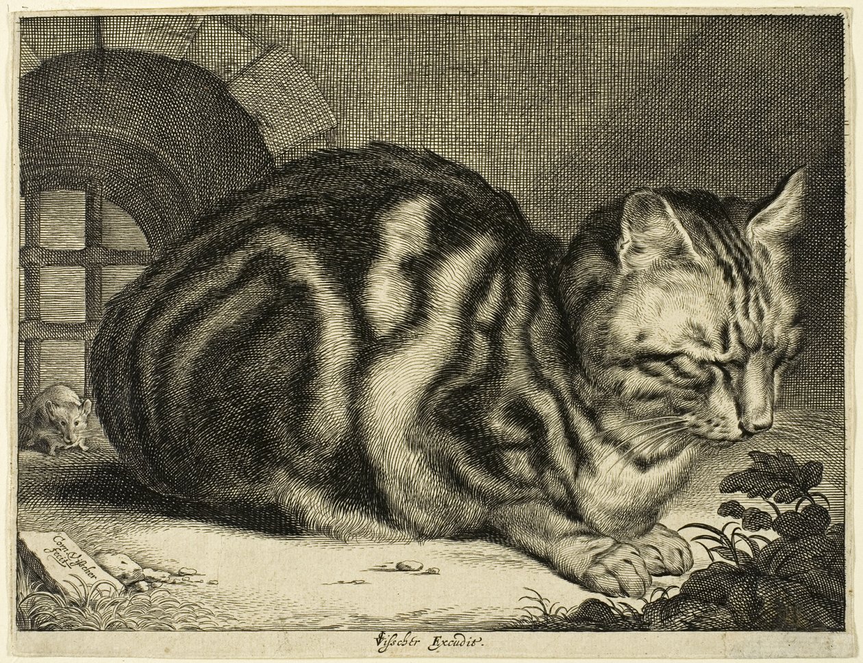 大猫 作者 科尼利斯·维舍