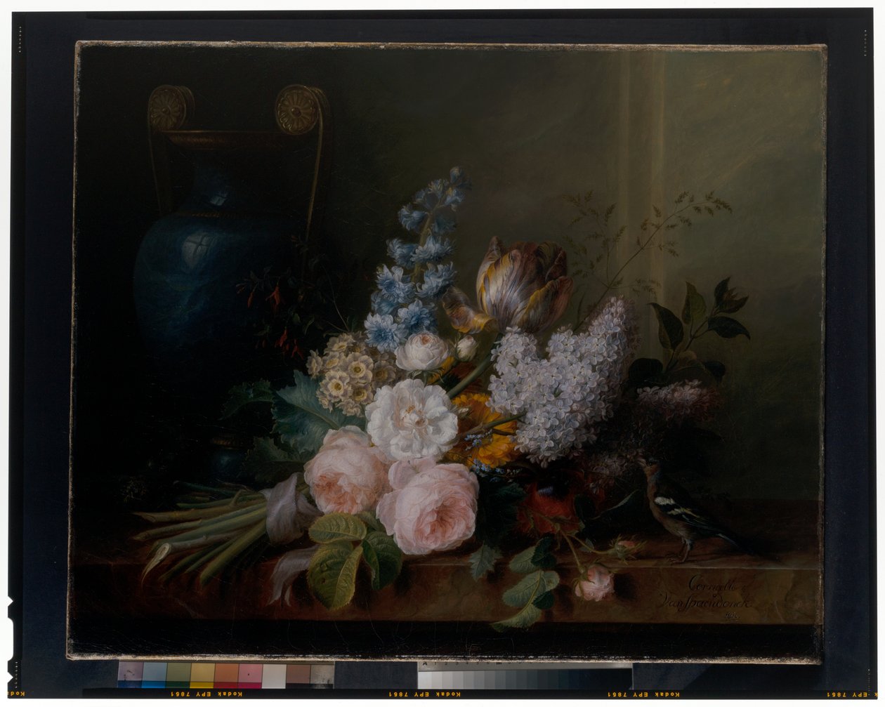 花卉静物 作者 Cornelis van Spaendonck
