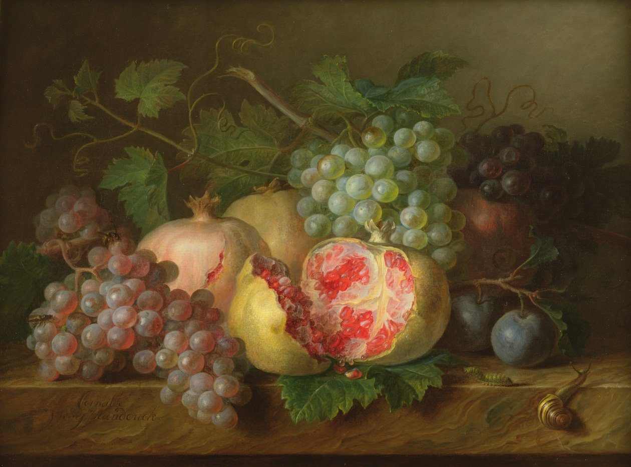 石榴，葡萄和李子在大理石壁架（面板）上的静物 作者 Cornelis van Spaendonck