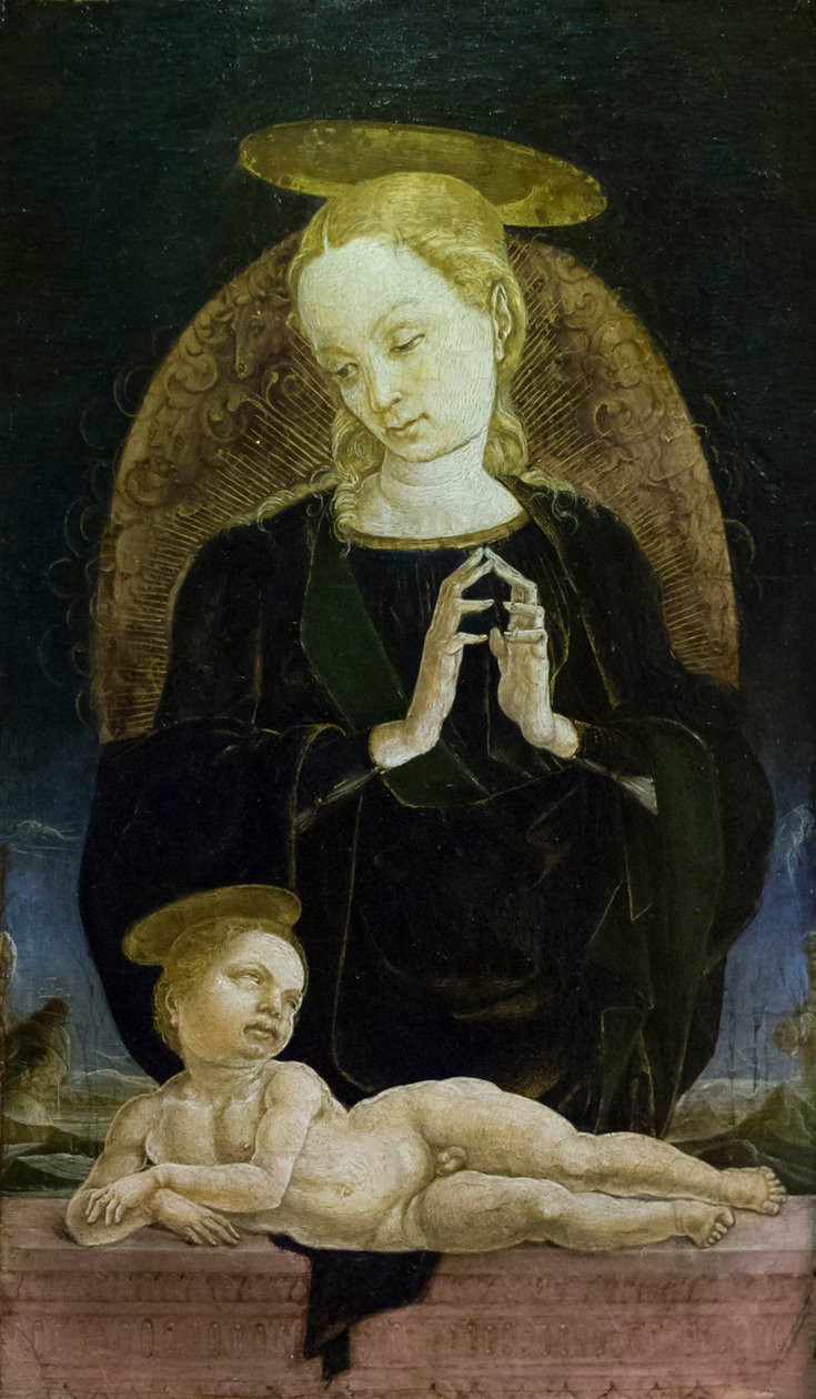 圣母与圣婴 作者 Cosimo Tura