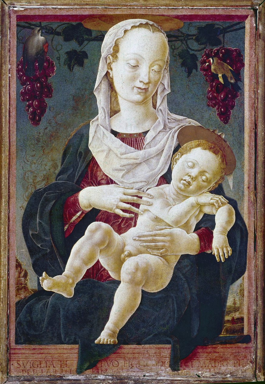 圣母与圣婴，又称黄道十二宫圣母，约 1459-63 年（木板钢笔画） 作者 Cosimo Tura