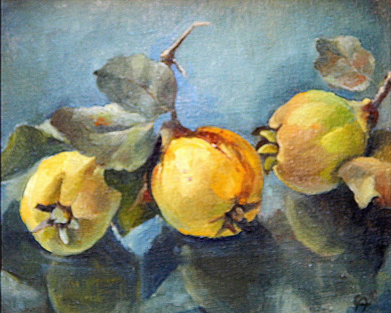 Qu ,, 2011， 作者 克里斯蒂安娜·安吉里尼（Cristiana Angelini）