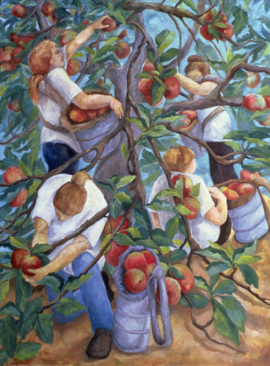 Apple Pickers，1996 作者 克里斯蒂安娜·安吉里尼（Cristiana Angelini）