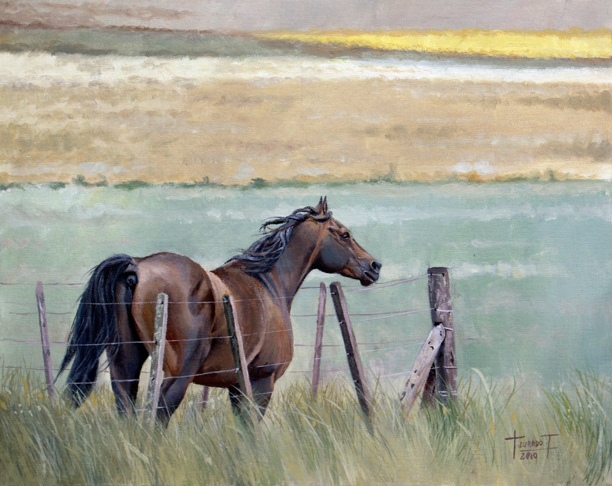 自由之梦，2010（油画板） 作者 克鲁兹·尤拉多·特拉沃索