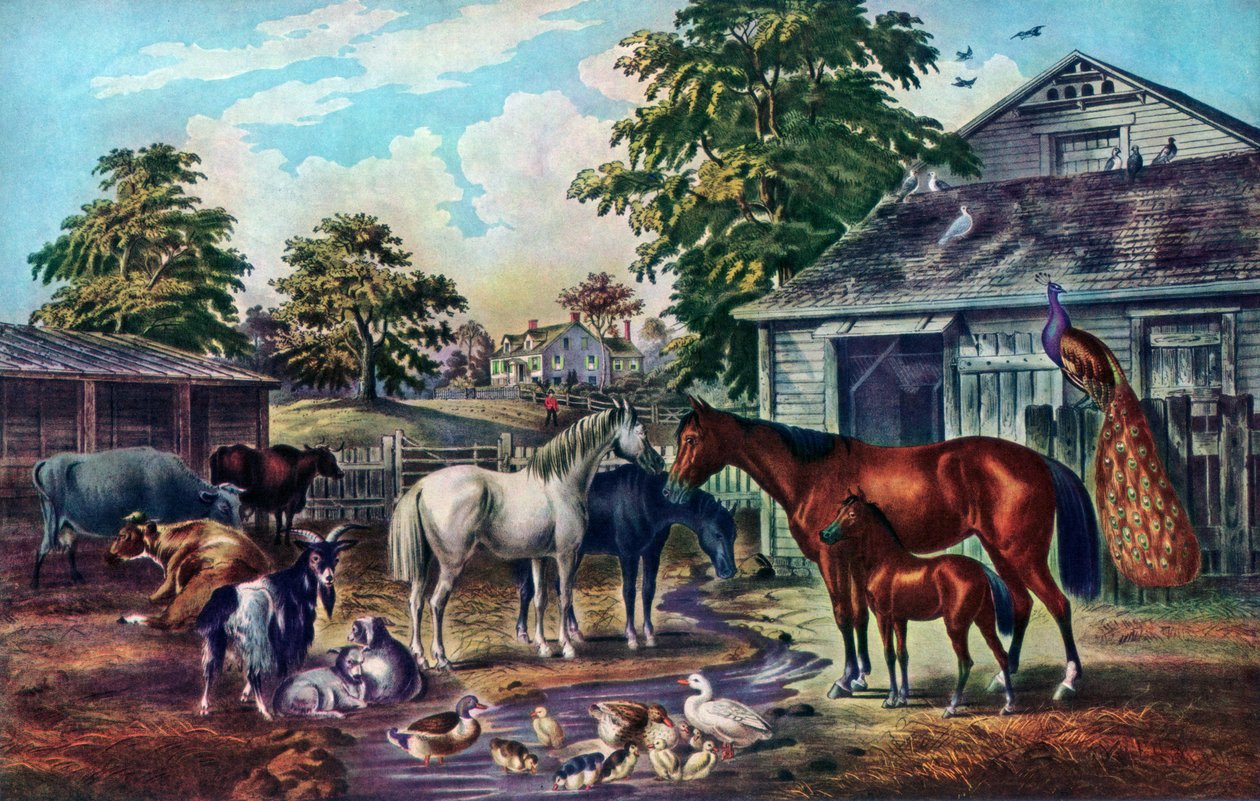 1857年早晨的美国农家院 作者 库里尔和艾夫斯