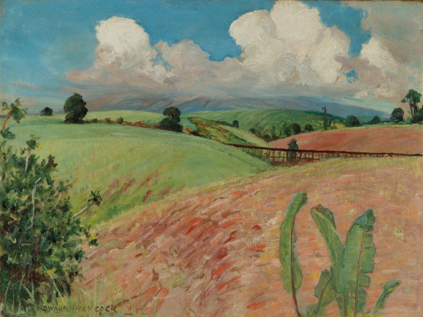 Canefields，大岛 作者 D.霍华德·希区柯克