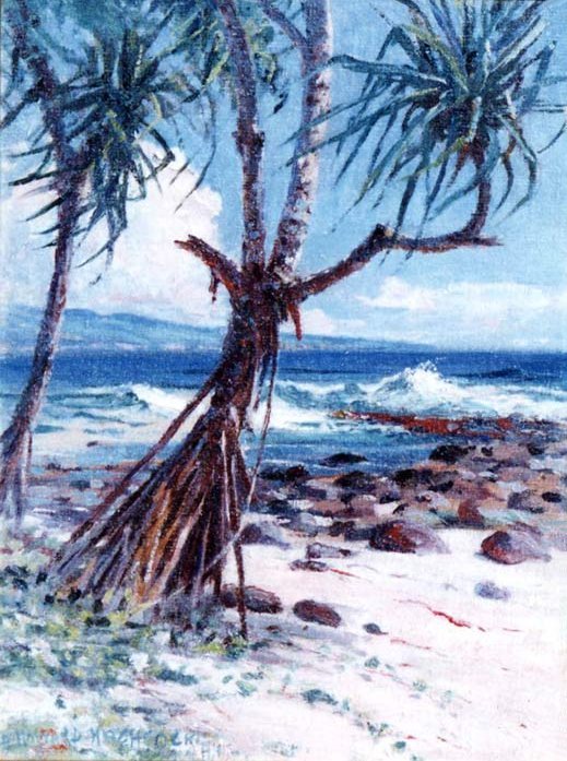 lauhala 作者 D.霍华德·希区柯克